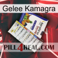 Jelly Kamagra 11